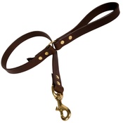 Creature Clothes - Plain Leather Dog Lead - Chocolate with Brass
