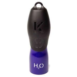Violet H2O Water Bottle 25oz
