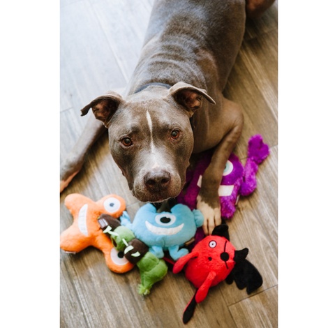 blue monster dog toy