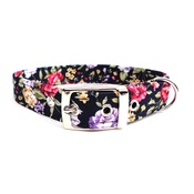 Ditsy Pet - Nancy Buckle Dog Collar
