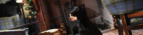 Dog Friendly Pubs with Rooms Somerset