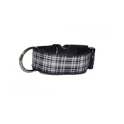 Pet Pooch Boutique - Wesley Dog Collar