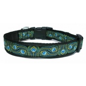 Woof and Meow - Peacock Feather Dog Collar