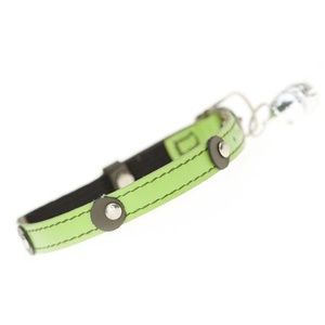 Moet Cat Collar in lime