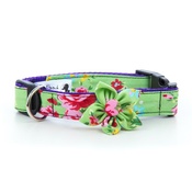 Pet Pooch Boutique - Green Vintage Dog Collar with Flower 1" Width