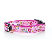 Pet Pooch Boutique - Pepper Dog Collar