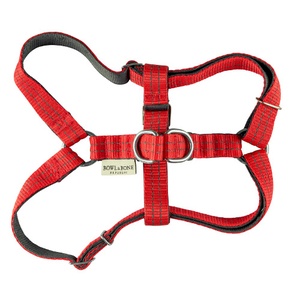 Active Dog Harness - Red