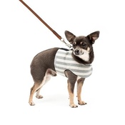 Mutts & Hounds - Flint Stripe Brushed Cotton Dog Harness