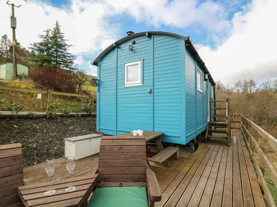 Cuckoo at Wild Valley Huts, Shropshire