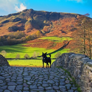 <strong>Lake District Guide</strong>