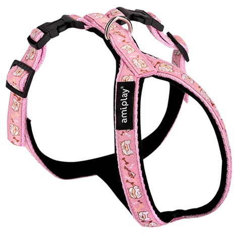 amiplay harness