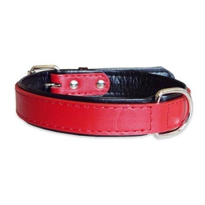 Fusion Red Leather Dog Collar