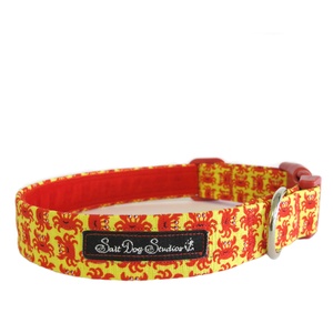 Salt Dog Studio Little Nippers Dog Collar
