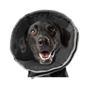 ProCone Recovery Cone