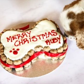 Arton & Co - Personalised Bone Christmas Cake
