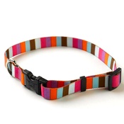 Yellow Dog - Multi-Stripe Collar