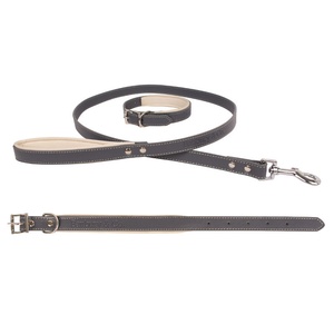 Luxury Dog Collar & Lead Set