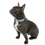 Hiro + Wolf - Blue Geo Dog Collar