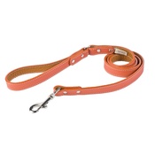 Auburn Leathercrafters - Tuscany Leather Dog Lead – Orange