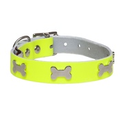 Creature Clothes - Galaxy Dog Collar - Yellow, Nickel Bones