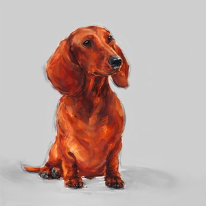 Sitting Dachshund Art Print