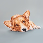 Paint My Dog - Corgi Art Print