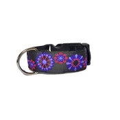 Pet Pooch Boutique - Sunset Dog Collar
