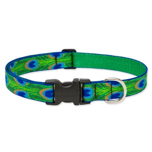 3/4" Width Tail Feathers Lupine Dog Collar