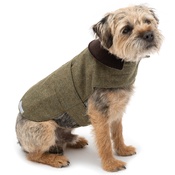 Mutts & Hounds - Forest Green Tweed Coat