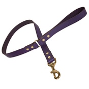 Creature Clothes - Plain Leather Dog Lead - Purple with Brass