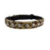 Hem & Boo - Leopard Print Cat Collar - Tan