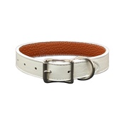 Auburn Leathercrafters - Tuscany Leather Dog Collar – White
