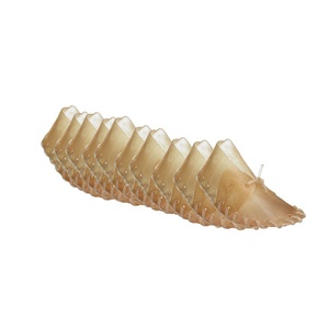Hide Shoes Dog Treat x 10