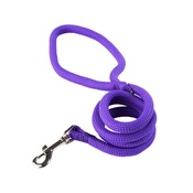 Yellow Dog - Braided Dog Lead – Pansy Purple