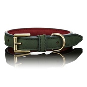Paws with Opulence - Limited Edition Luxe Green Dog Collar