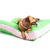 Lords & Labradors - Two Tone Dog Bed - Green & Daisy Stripe