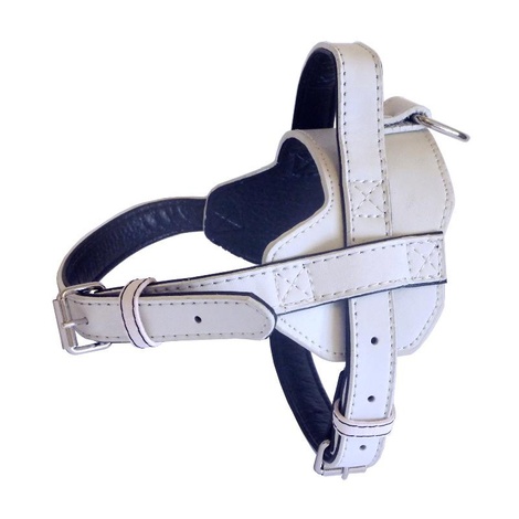 dog harness white