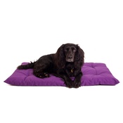 The Lounging Hound - Plain Dog Roll Bed - Violet