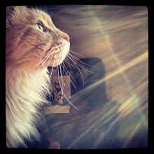 Buzby