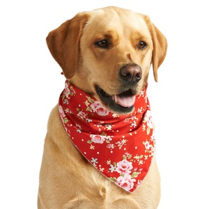 Red Vintage Primrose Dog Bandana