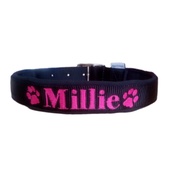 Personalised Pets - Personalised Embroidered Dog Collar – Black