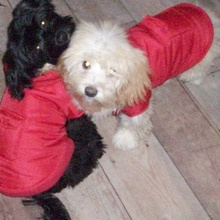 Mollie + Maizie