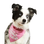 Pet Pooch Boutique - Been There Chewed That Dog Bandana – Baby Pink