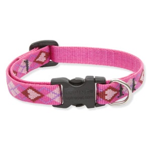 Puppy Love Lupine Dog Collar