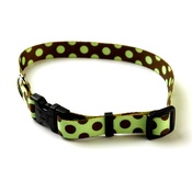 Yellow Dog - Green/Brown Polka Collar