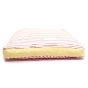 Lords & Labradors - Swappers Refreshers - Daisy, Candy Stripe & Yellow