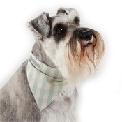 Mutts & Hounds - Mint Check Cotton Dog Neckerchief
