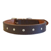 The Paws Pet Supplies - Diamante Rhinestone Dog Collar - Brown