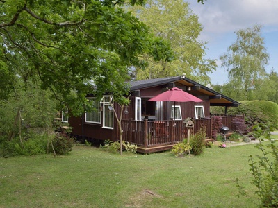 The Bird House, Carmarthenshire