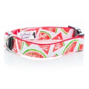 Pet Pooch Boutique - Watermelon White Collar